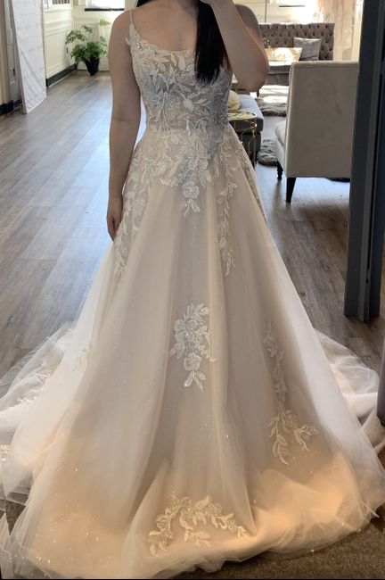 Torn Between Two Wedding Dresses! 11