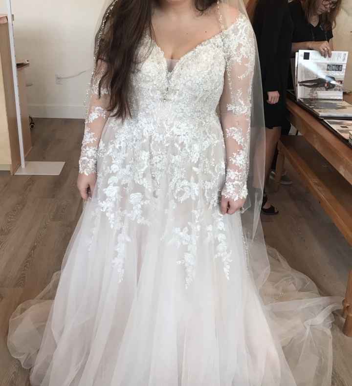 Dress Help! Please post your gowns!! - 1