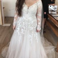 Dress Help! Please post your gowns!! - 1