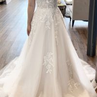 Torn Between Two Wedding Dresses! - 1