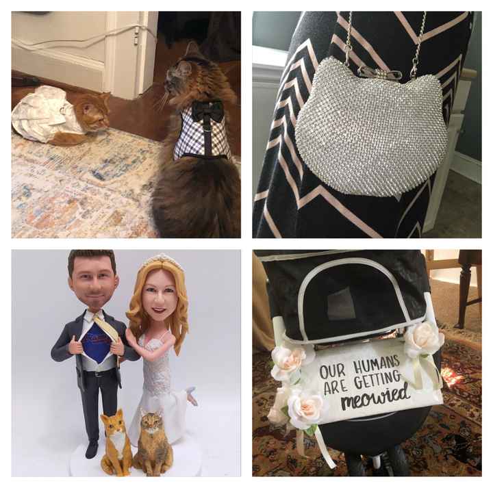 Are you including your pet in your minimony? 🐾 - 1