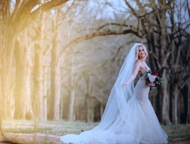 Bridal Portraits....5 Days Until Wedding!!! - 5