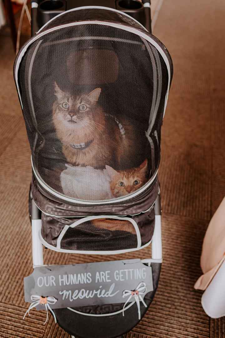 Bam-advice and Regrets - 6