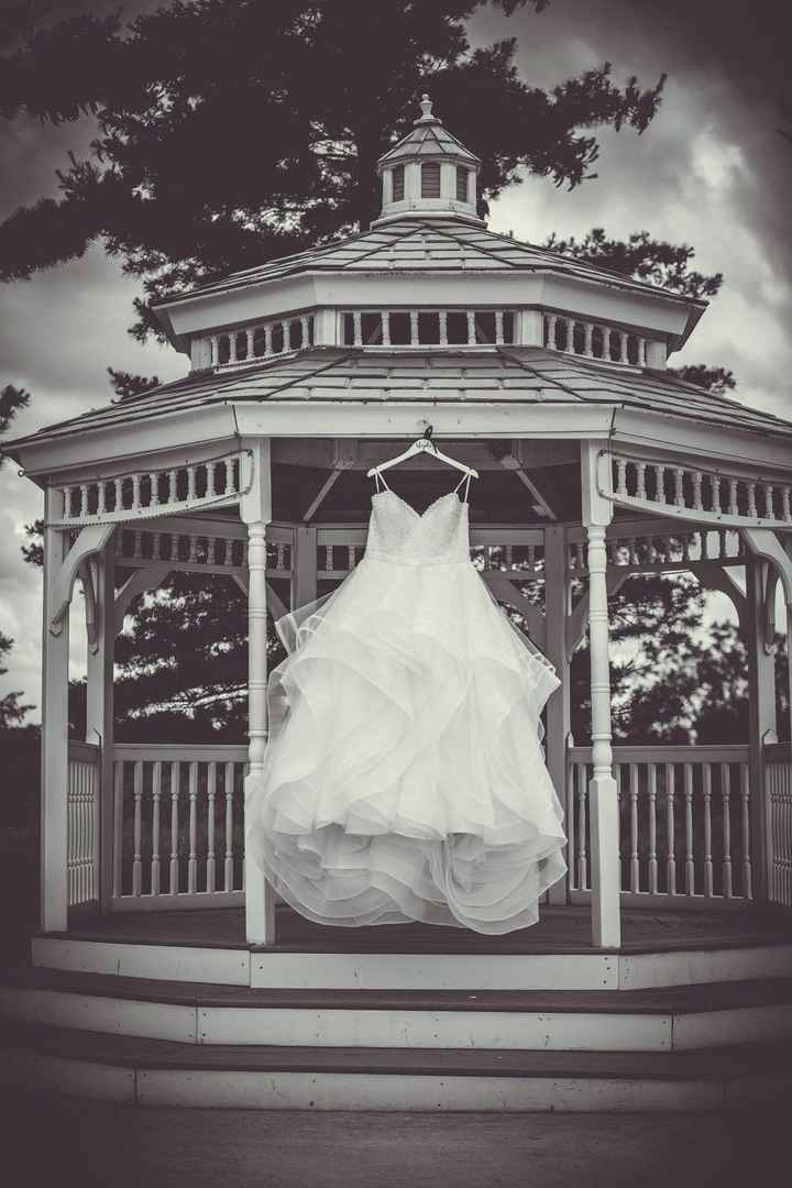 Wedding Photos are in!!!