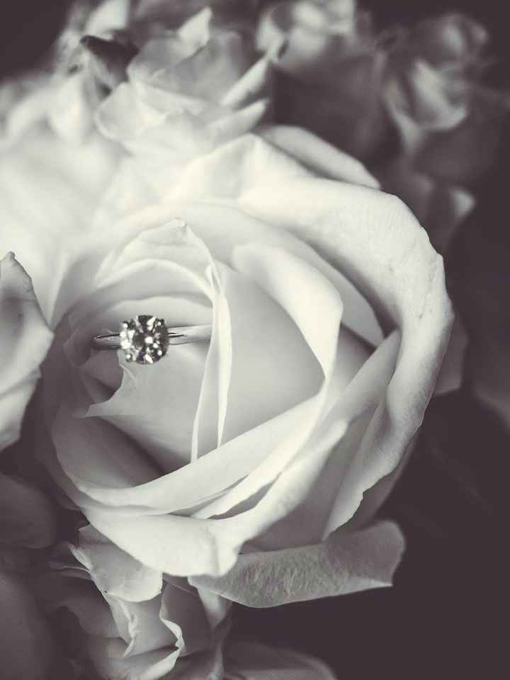 Wedding Photos are in!!!