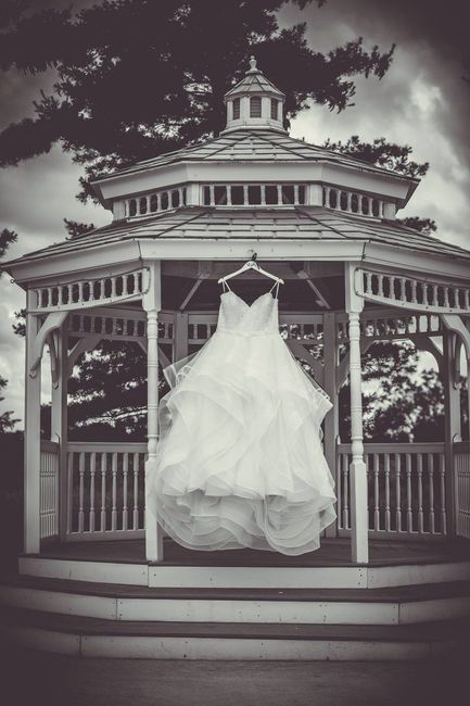 Wedding Photos are in!!!