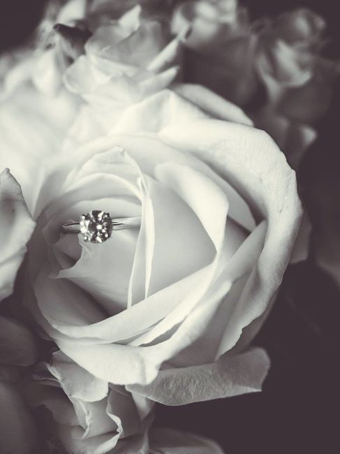 Wedding Photos are in!!!