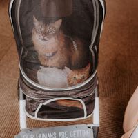 Bam-advice and Regrets - 6