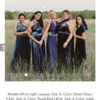 Deciding on Bridesmaids Dresses - 4