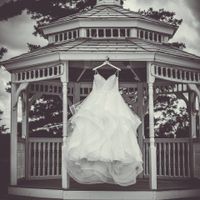 Wedding Photos are in!!!