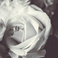 Wedding Photos are in!!!