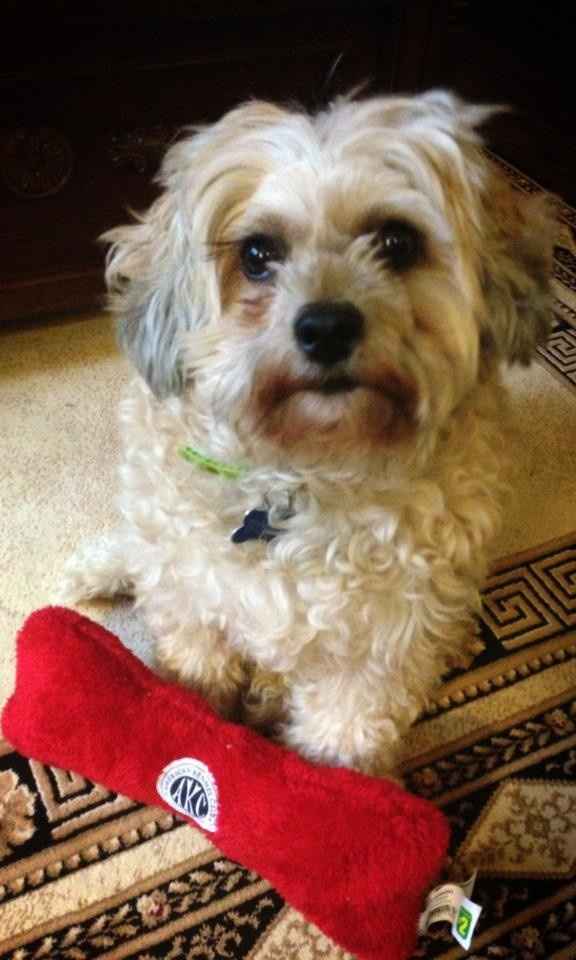 4th of July is great but...