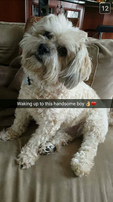 I LOVE my fur baby!
