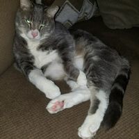 NWR: Just A Little Pick Me Up Post