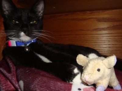 NWR - Furry babies