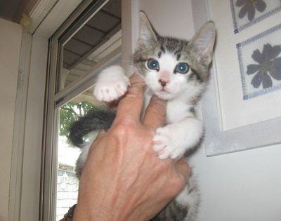NWR - Furry babies