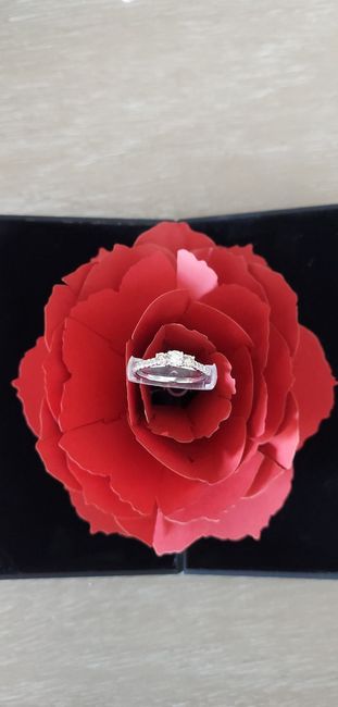2023 Brides - Show us your ring! 13