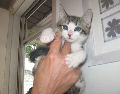 NWR - Furry babies