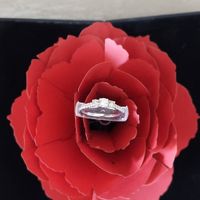 2023 Brides - Show us your ring! - 1