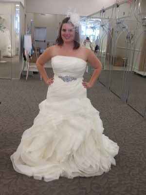 Going to try on Dresses at Davids Bridal Advice ***UPDATE I FOUND IT! (with Picture)***