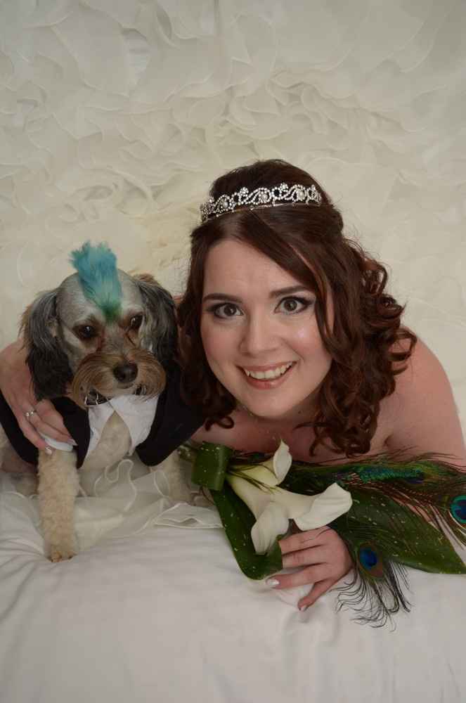 This is a pets in wedding thread.(I want to see pictures)