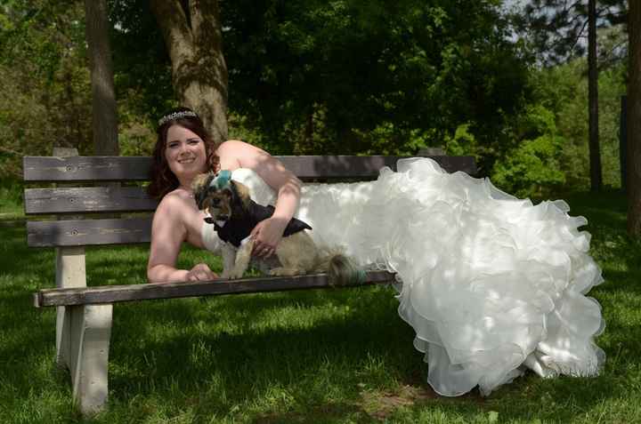 This is a pets in wedding thread.(I want to see pictures)