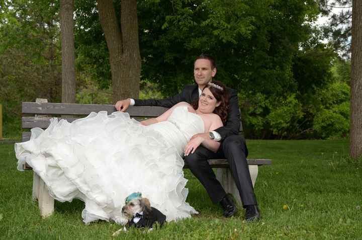 This is a pets in wedding thread.(I want to see pictures)