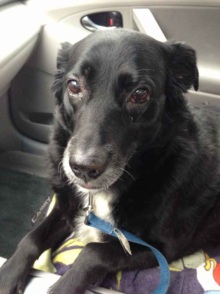NWR: Fur-baby Fursday!