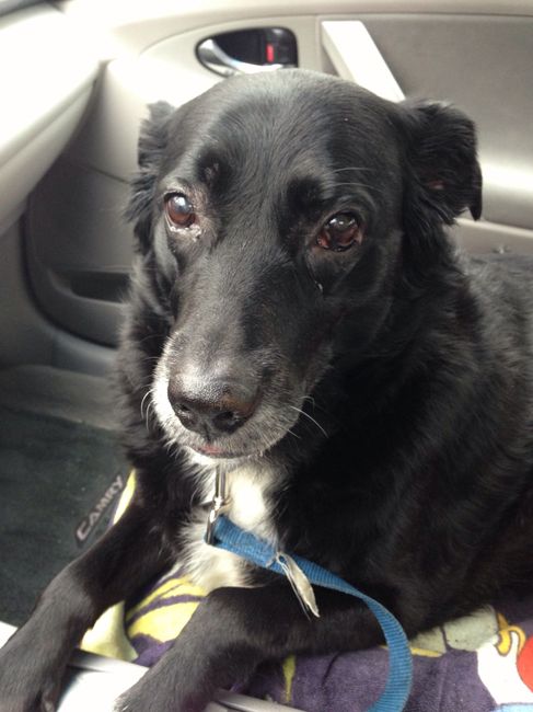 NWR: Fur-baby Fursday!