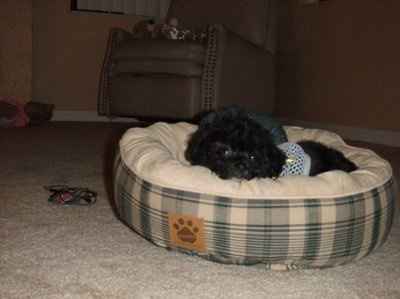 Lets introduce ourselves and lay it on the table