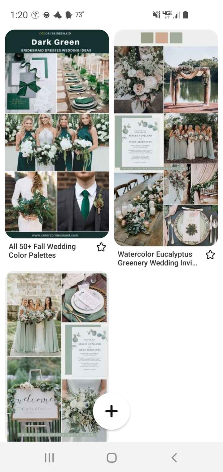 What Color Attire Are Your Bridesmaids/Groomsmen Wearing For Your Wedding? - 1