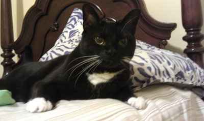 NWR: Show off your fur baby!