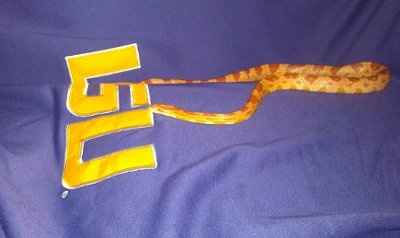 NWR: Show off your fur baby!