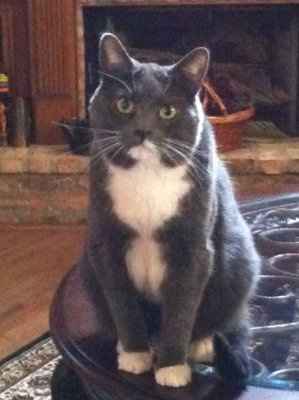 NWR: Show off your fur baby!