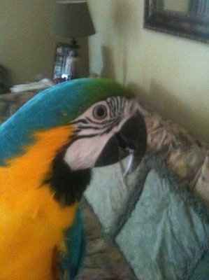 NWR: Show off your fur baby!