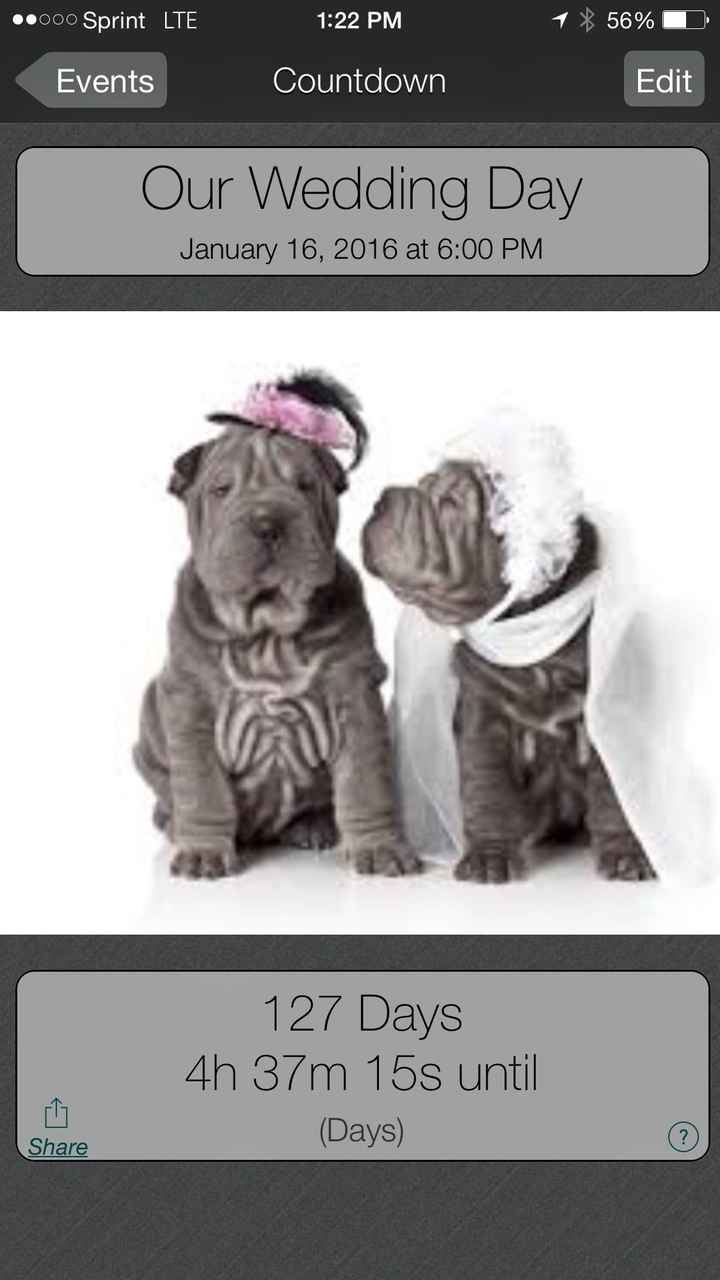 Are you actively counting down to your wedding?