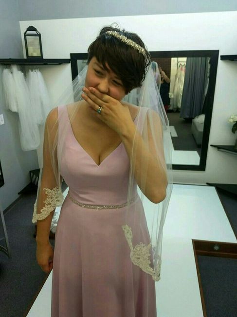 Dress Appointment - 2