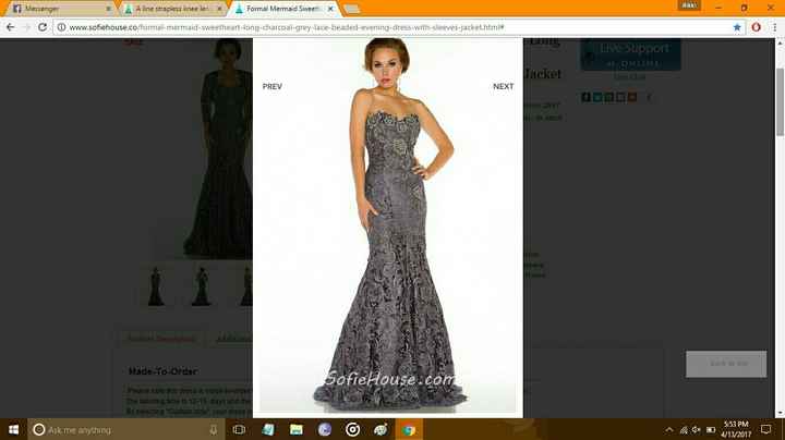 Online Dress or Shop Dress