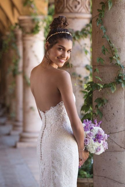 Back of dress