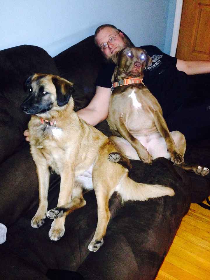 NWR lol people think my dogs are scary..