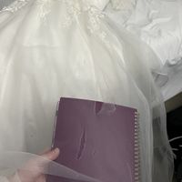 Question: Tulle repair, david’s bridal - 8