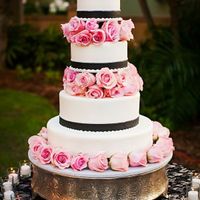 How much was your cake?!? Do u have pictures?