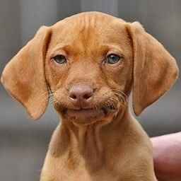 I had just read Janeen's comment when it happened