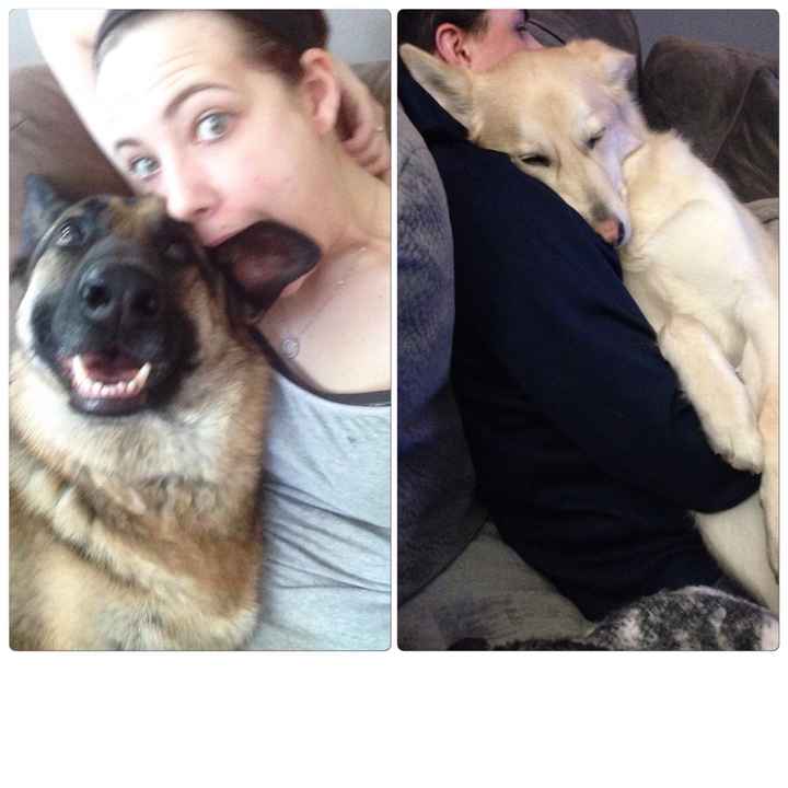 NWR: Happy Furry Fursday, let's see them fur babies!