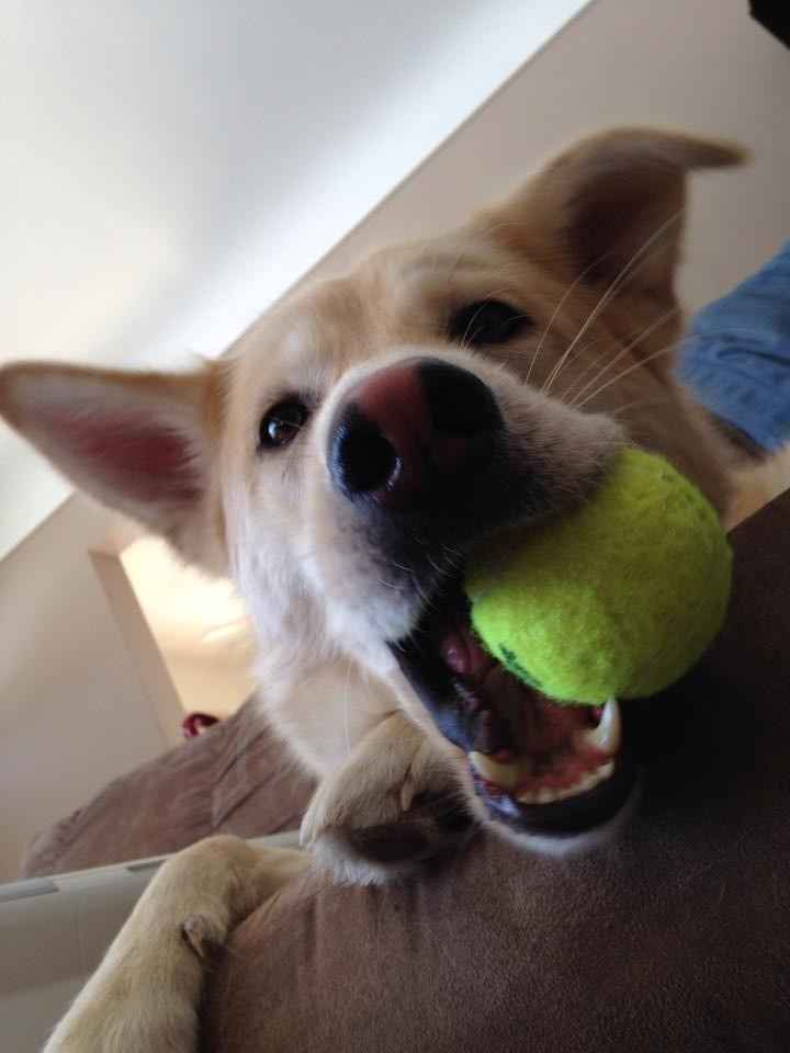 NWR Show me your furbabies