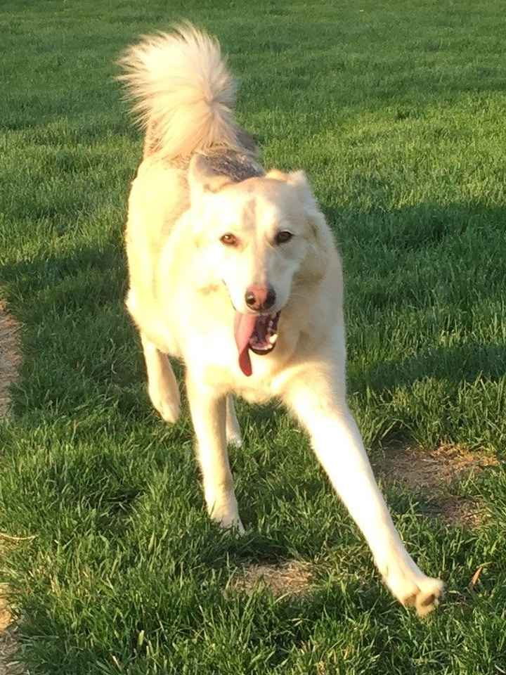 NWR: who invited moon moon?