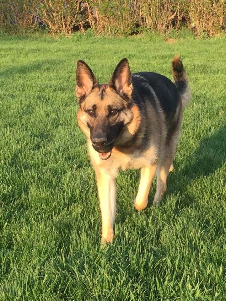 NWR: who invited moon moon?