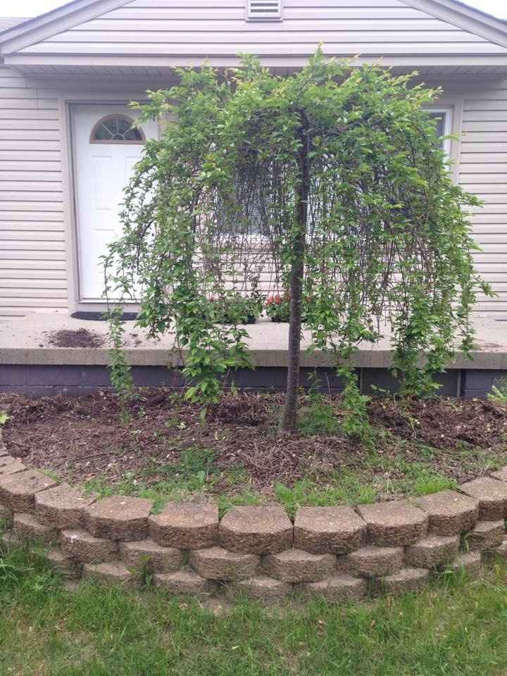 NWR: Any gardening brides out there? (breaking up the spam)