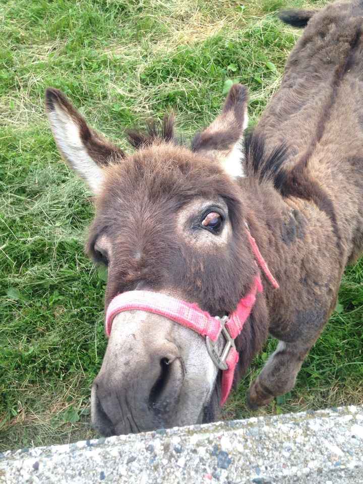 Bridesmaid this weekend