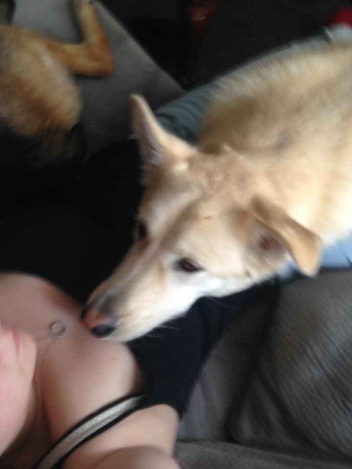 NWR Happy Fursday!!!